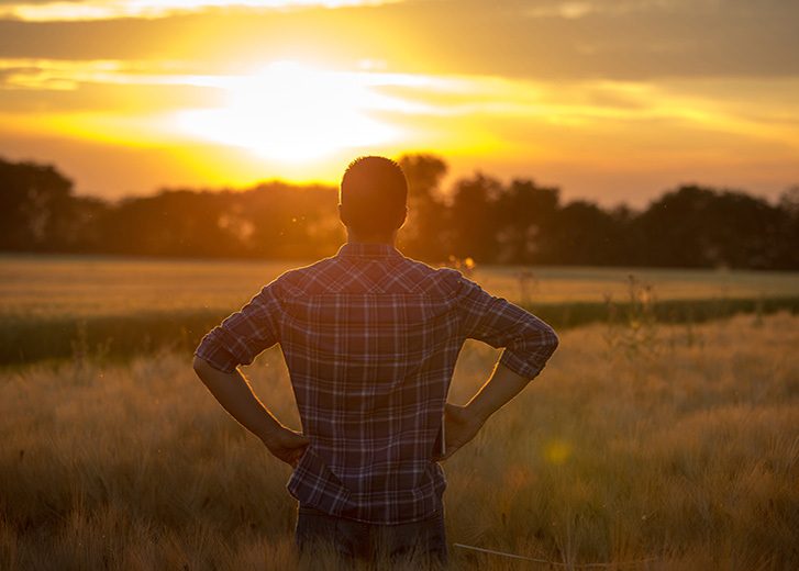 man looking out at field